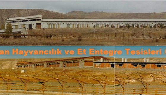 ZARASAN HAYVANCILIK VE ET ENTEGRE TESİSLERİ - SİVAS